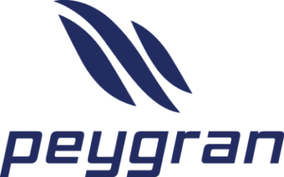 Инстументи за плочки PEYGRAN