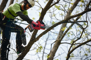 Акумулаторен верижен трион Milwaukee M18 FHS20-0