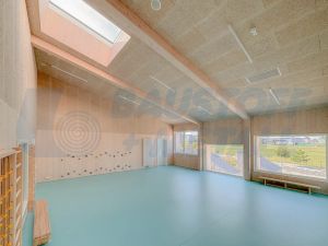 Панел Cewood CW-W15S NP Superfine natur P5 1200/600 15 мм, 1 бр.