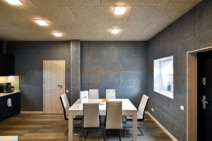 Панел Cewood CW-W25S GP Superfine цвят сив Gray P5 1200/600 25 мм, 1 бр.