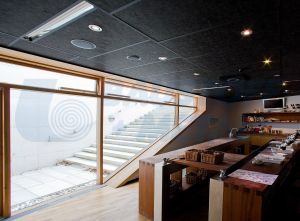 Пано Рокфон Industrial Black 1200/600 50 мм, RH 100%, αw 1.00, цвят черен, кашон 5.76 м²